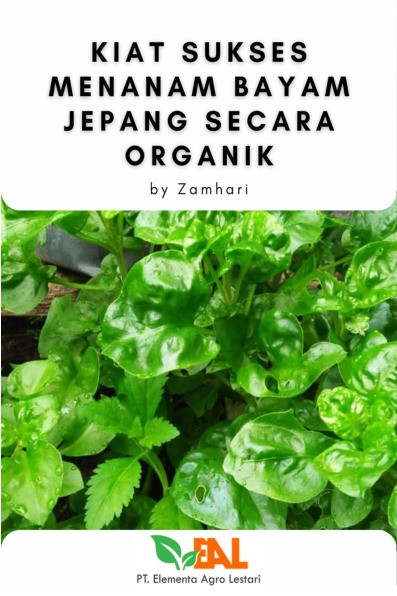 Kiat Sukses Menanam Bayam Jepang Secara Organik